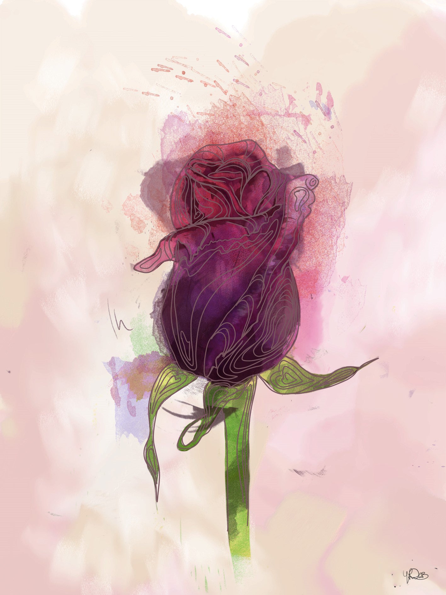 A Red Rose