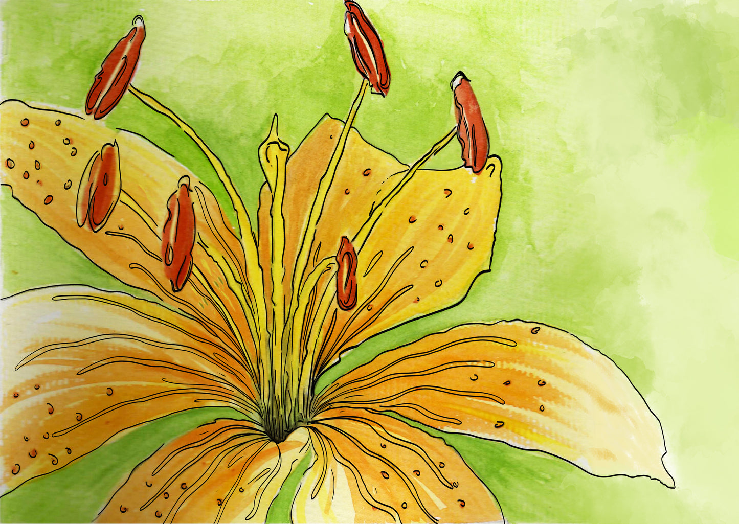 Yellow Lilly