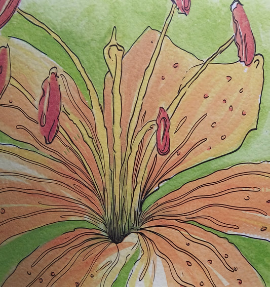 Yellow Lily Fine Art Print