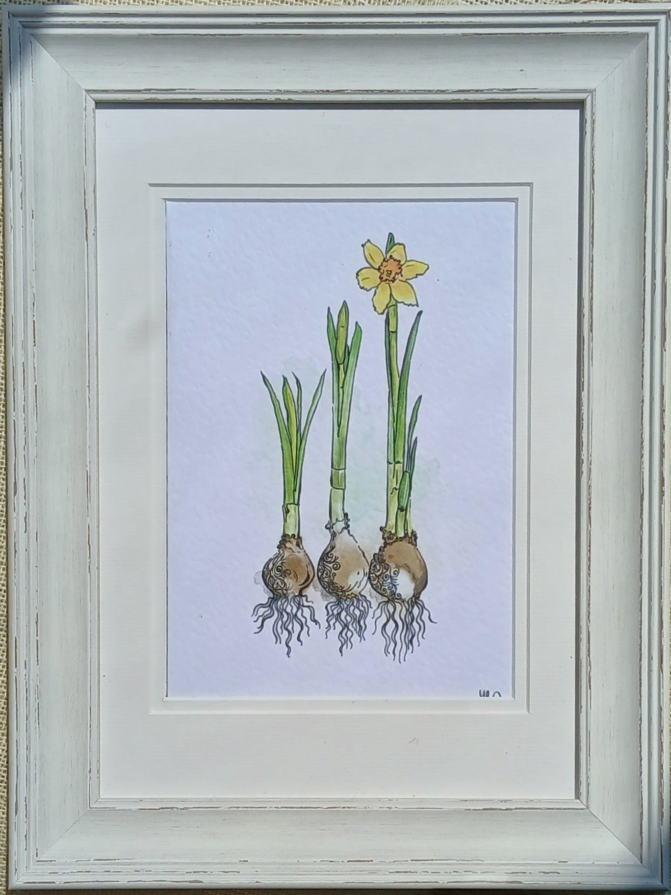 Daffodils — Fine Art Print