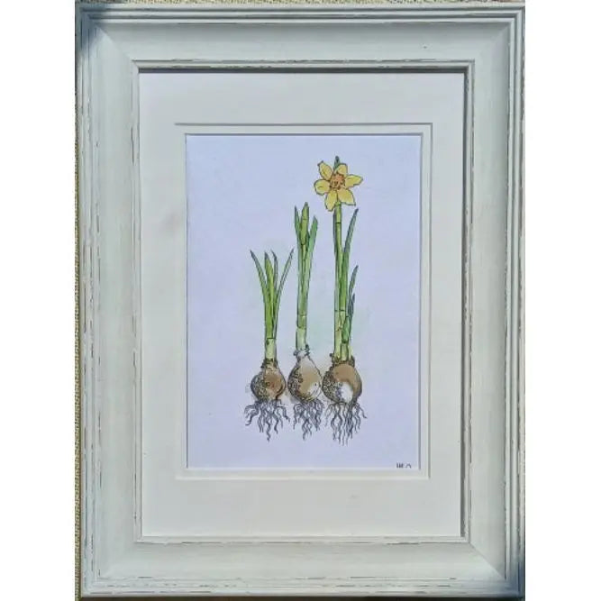 Daffodils — Fine Art Print