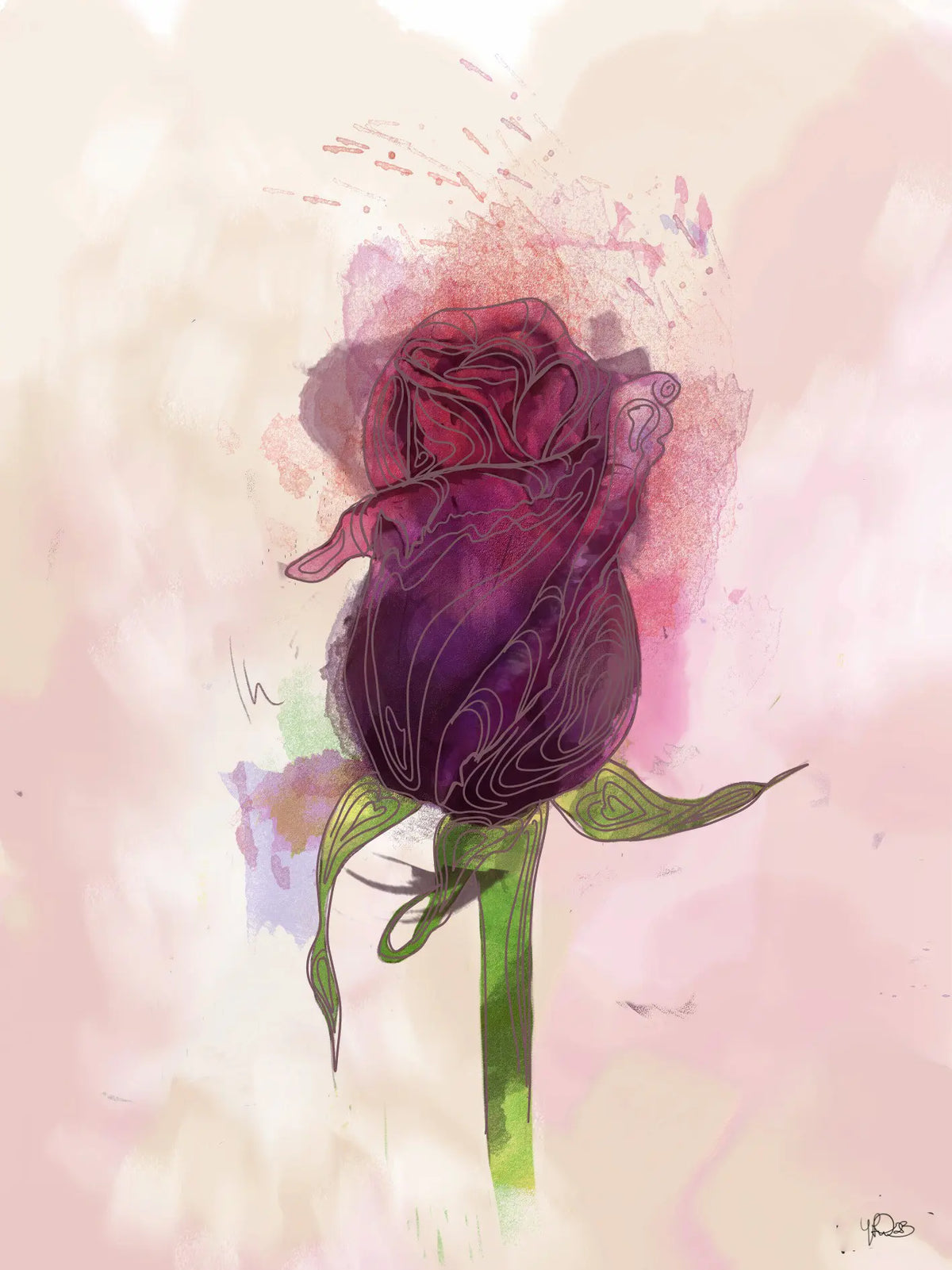 A Red Rose — Fine Art Print