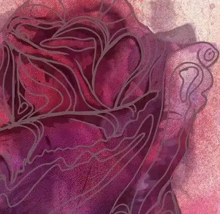 A Red Rose — Fine Art Print