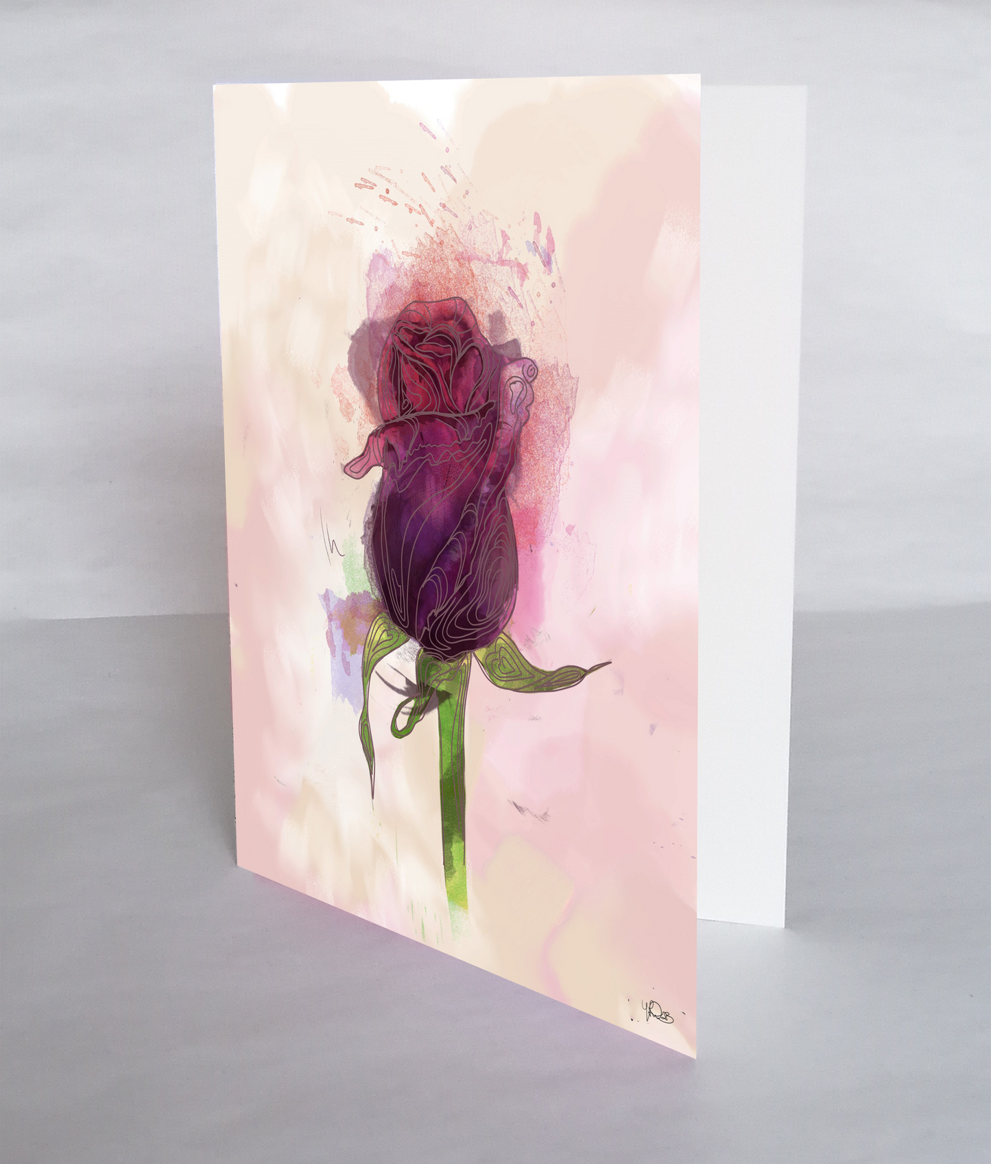 A Red Rose